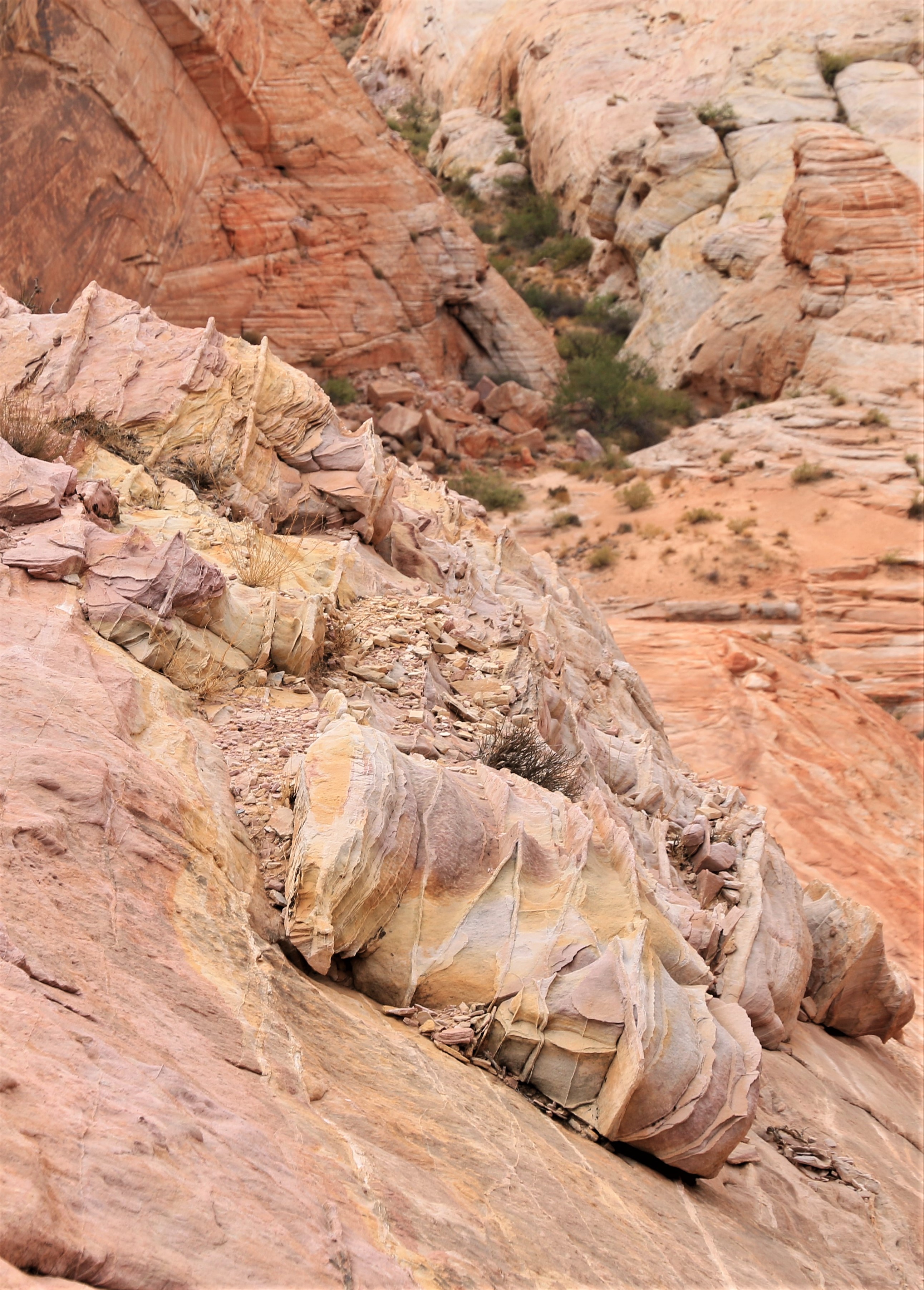 Nevada